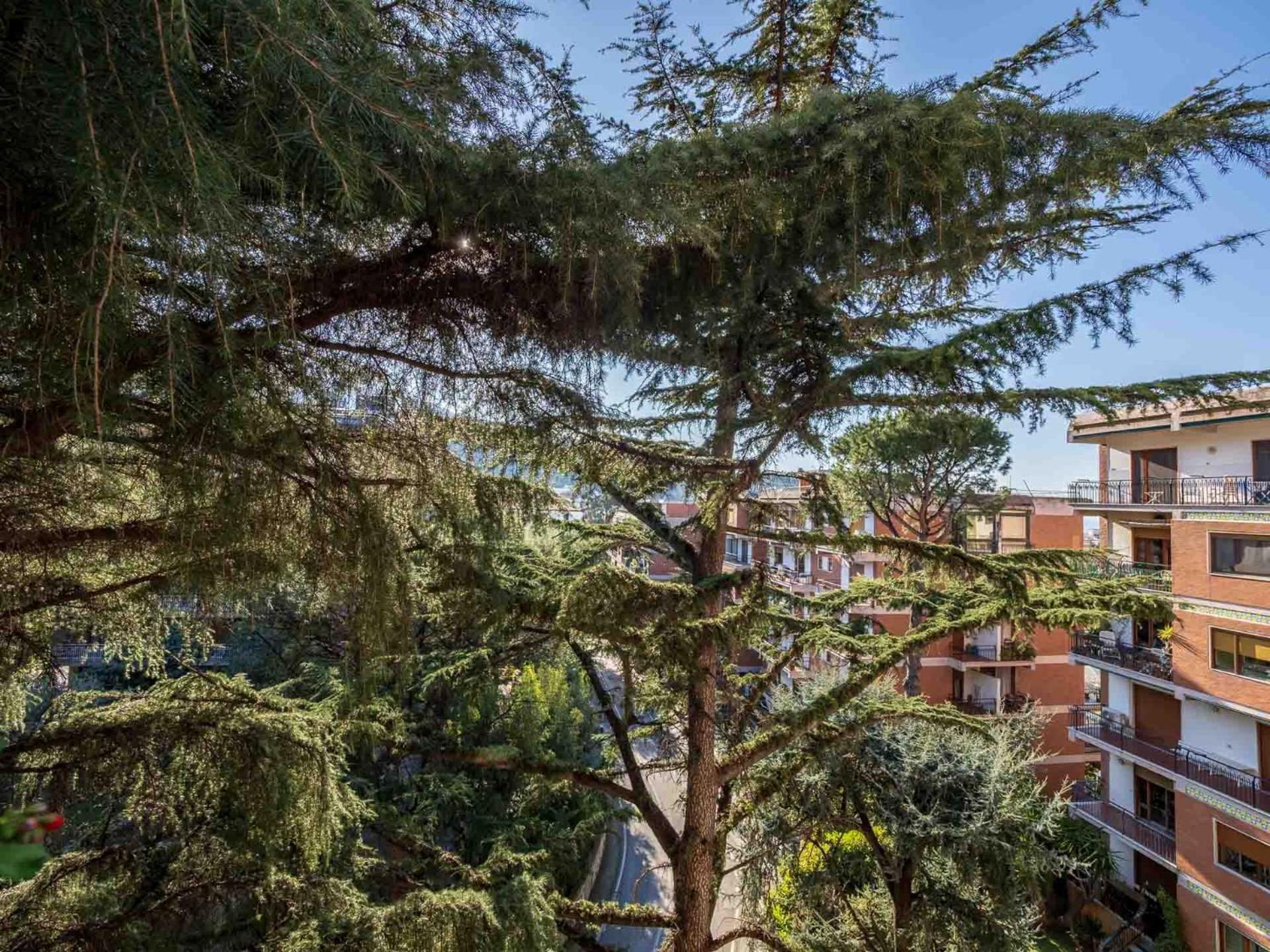 דירות Pine House סורנטו מראה חיצוני תמונה